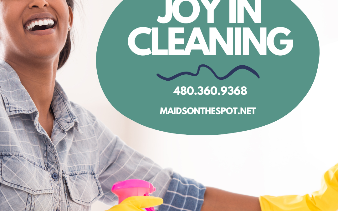 Joy in Cleaning